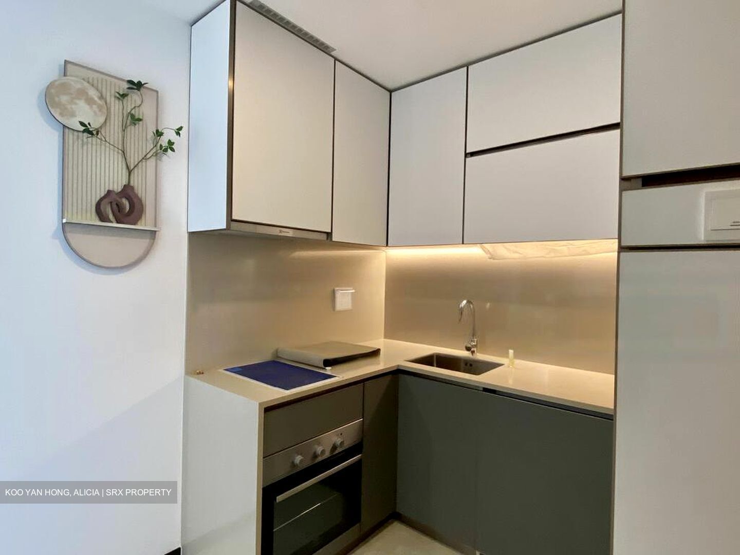 Normanton Park (D5), Apartment #468079531